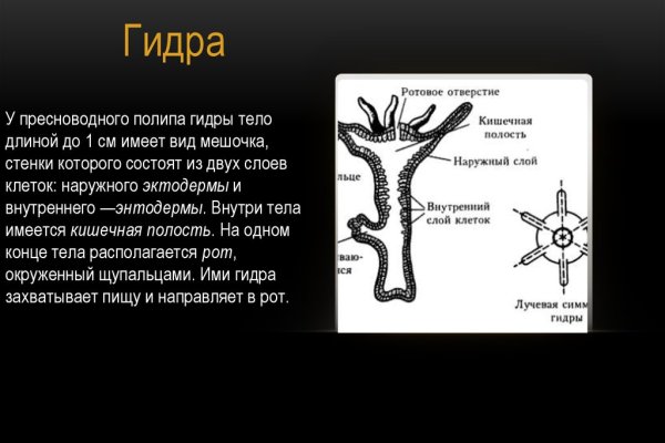 Black sprut как зарегистрироваться