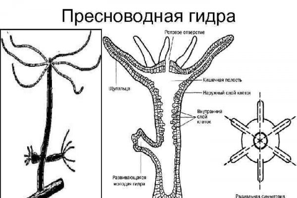 Блэкспрут ссылка blacksprut page