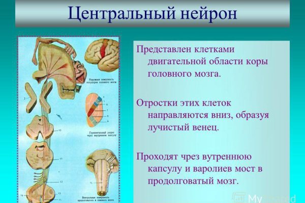 Блэкспрут рабочее зеркало bs2onion org