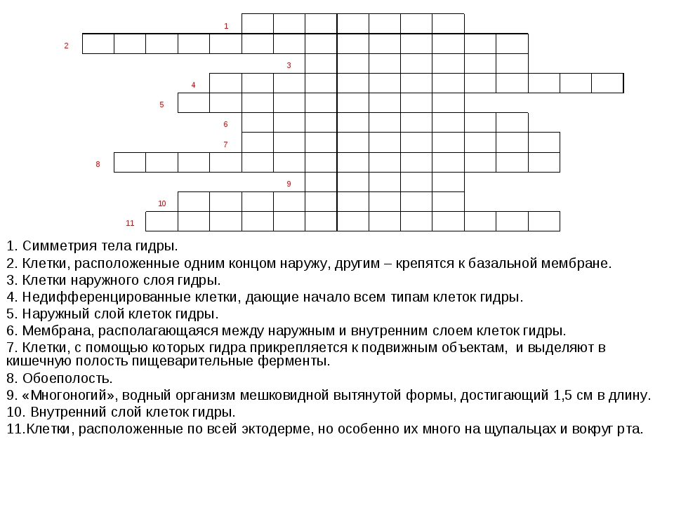 Ссылка блекспрут тор